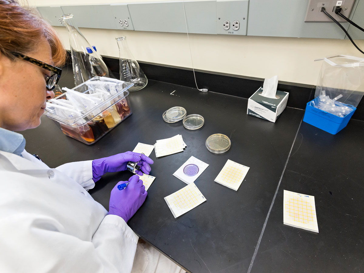 Microbiology Laboratory